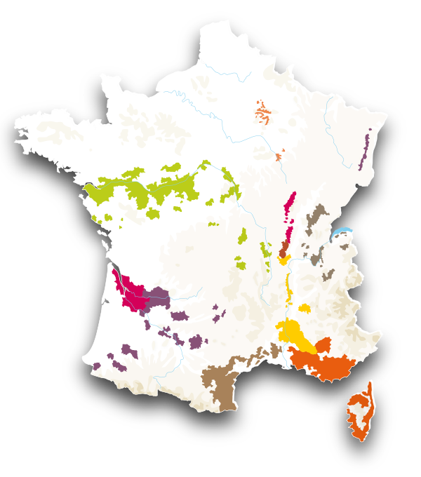 フランス地図イラスト