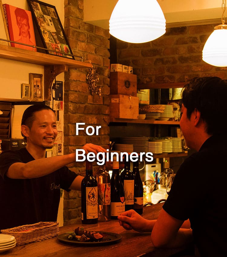 For Beginners